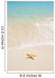 starfish on the beach Wall Mural