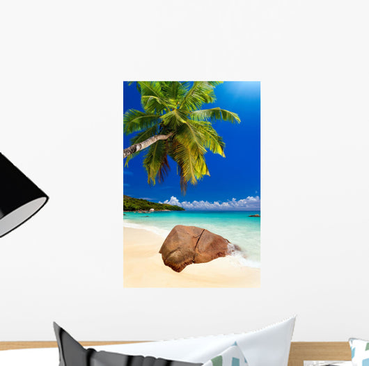 Plage Cocotier