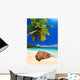 Plage Cocotier