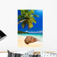 Plage Cocotier