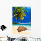 Plage Cocotier