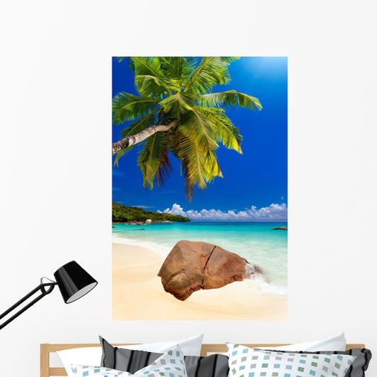 Plage Cocotier