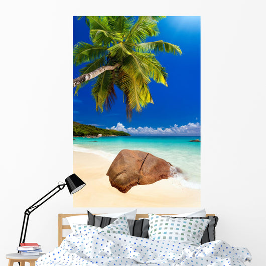 Plage Cocotier