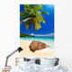 Plage Cocotier