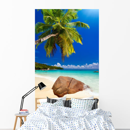 Plage Cocotier