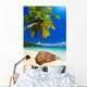 Plage Cocotier
