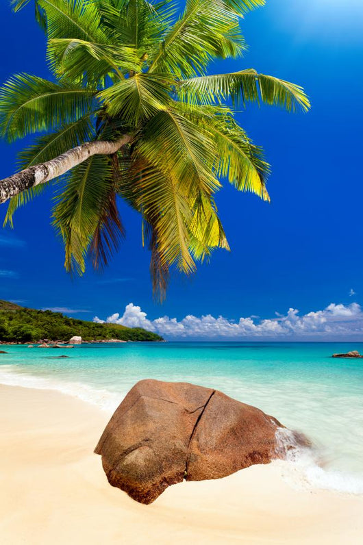 Plage Cocotier
