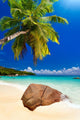 Plage Cocotier