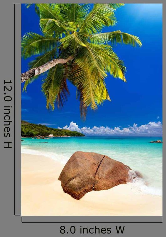 Plage Cocotier