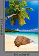 Plage Cocotier