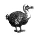 Dodo Dronte Wall Decal
