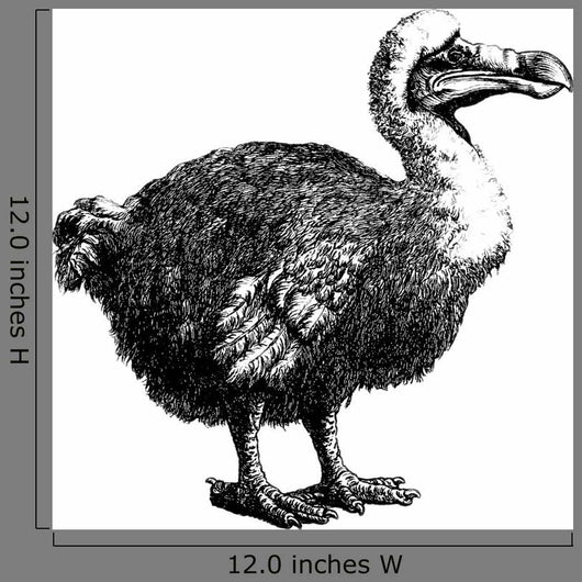 Dodo Dronte Wall Decal