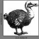 Dodo Dronte Wall Decal