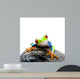 Frog Rock Wall Decal