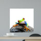 Frog Rock Wall Decal