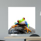 Frog Rock Wall Decal
