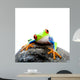 Frog Rock Wall Decal