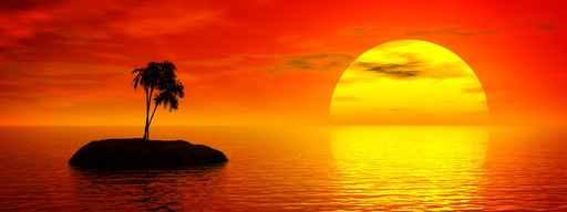 Tropic Sunset Wall Decal Design 1