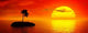 Tropic Sunset Wall Decal Design 1