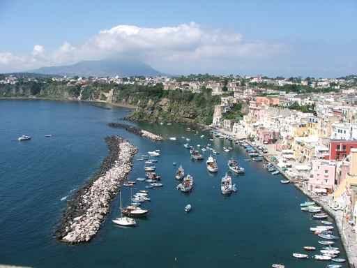 Procida Wall Decal Design 8