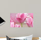 Pink tulips close up Wall Mural