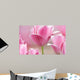 Pink tulips close up Wall Mural