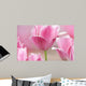 Pink tulips close up Wall Mural