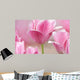 Pink tulips close up Wall Mural