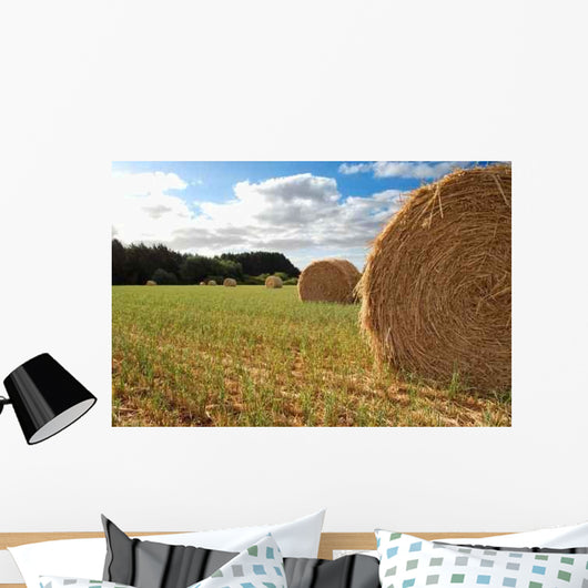 Hay Bale Wall Decal