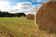 Hay Bale Wall Decal