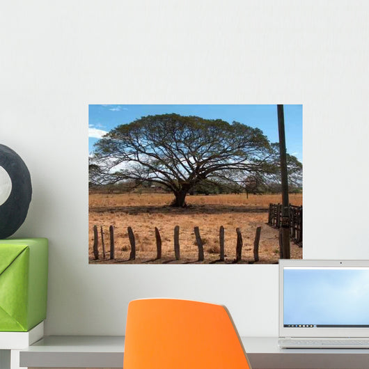 Baum Auf Der Steppe Wall Decal