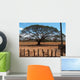 Baum Auf Der Steppe Wall Decal