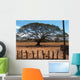 Baum Auf Der Steppe Wall Decal