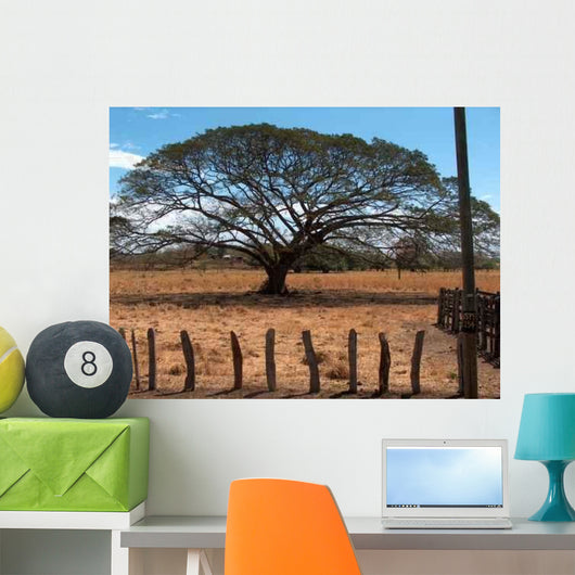Baum Auf Der Steppe Wall Decal