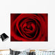 Rote Rose Wall Mural