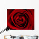 Rote Rose Wall Mural