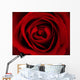 Rote Rose Wall Mural