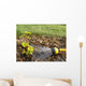 Watering Plant Wall Decal