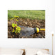 Watering Plant Wall Decal