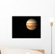 jupiter Wall Mural