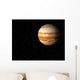 jupiter Wall Mural