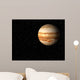 Jupiter Wall Decal