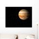 jupiter Wall Mural