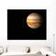 jupiter Wall Mural