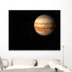 jupiter Wall Mural