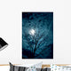 Tree Silhouettes with Sky