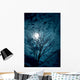 Tree Silhouettes with Sky