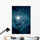 Tree Silhouettes with Sky