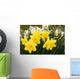daffodils Wall Mural