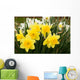 daffodils Wall Mural